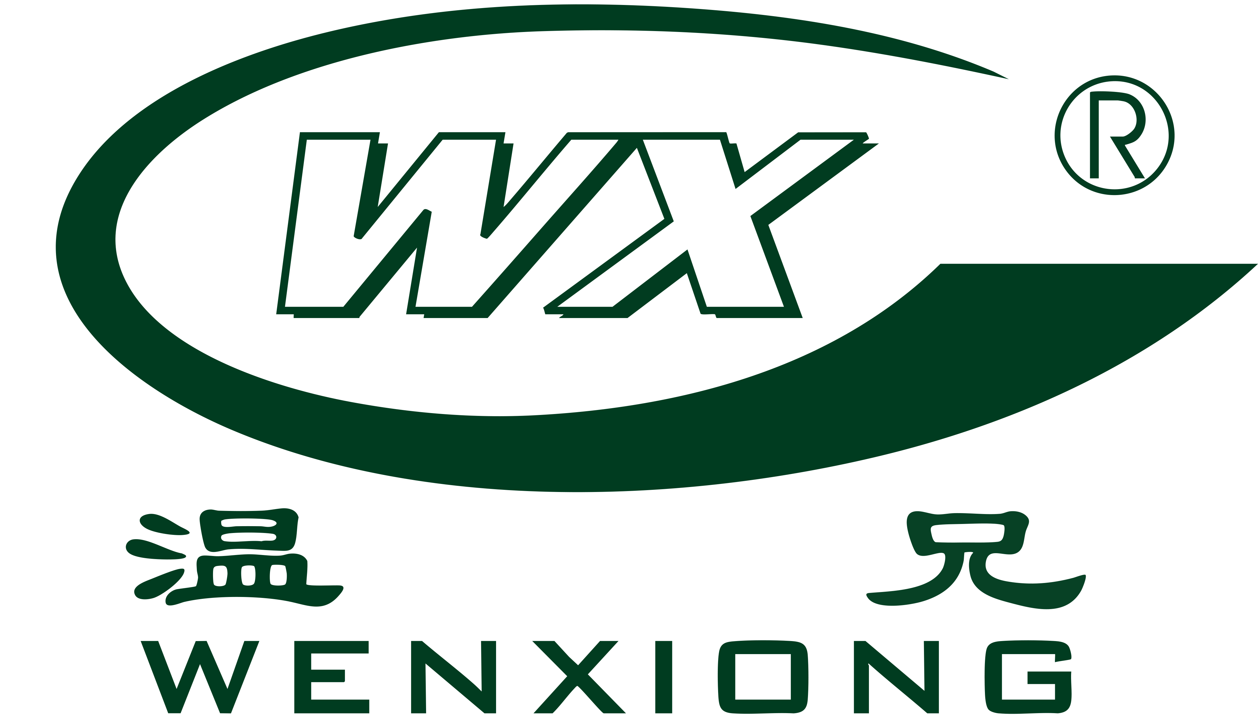 WENXIONG HOLDINGS GROUP CO., LTD