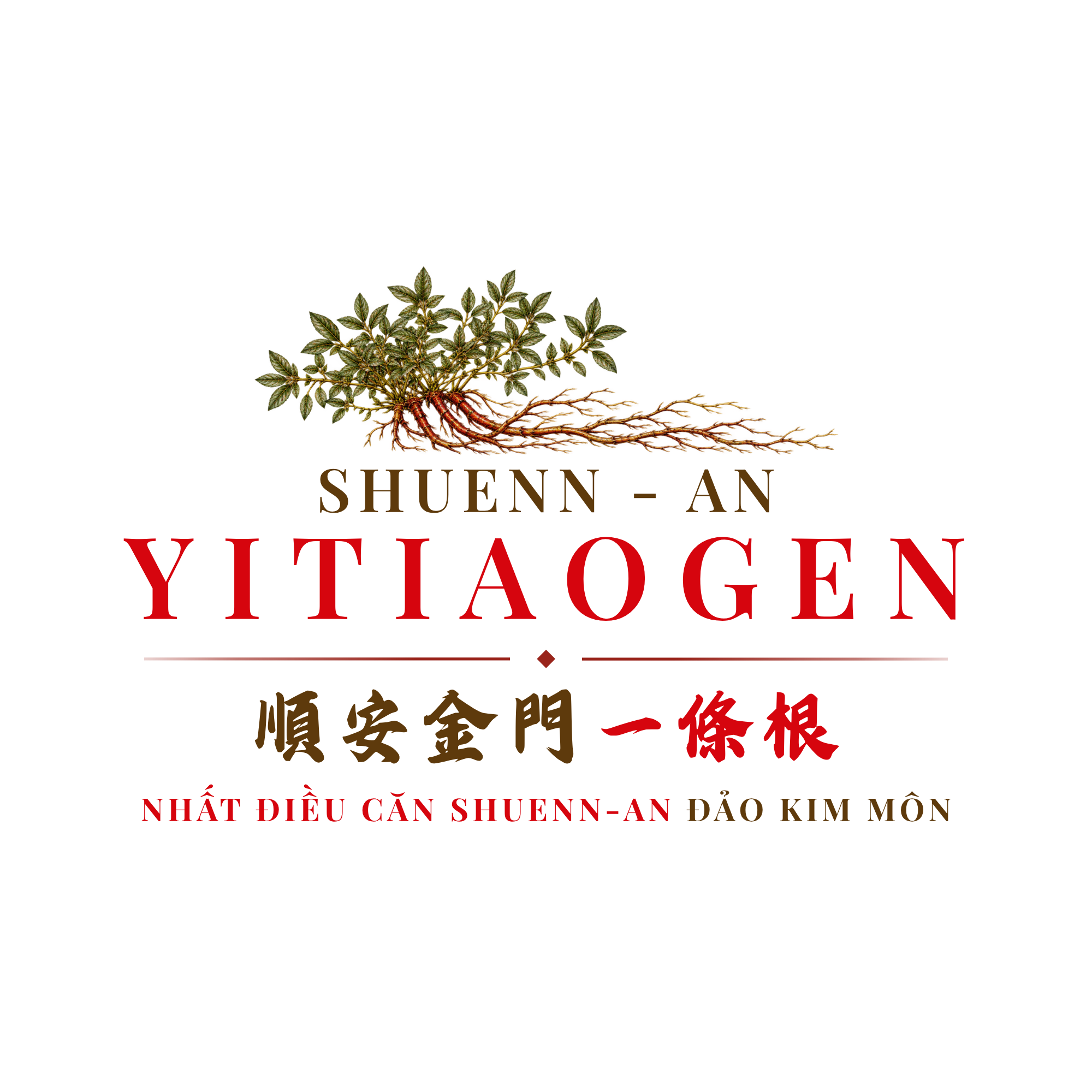 CÔNG TY TNHH THƯƠNG MẠI YI TIAO GEN