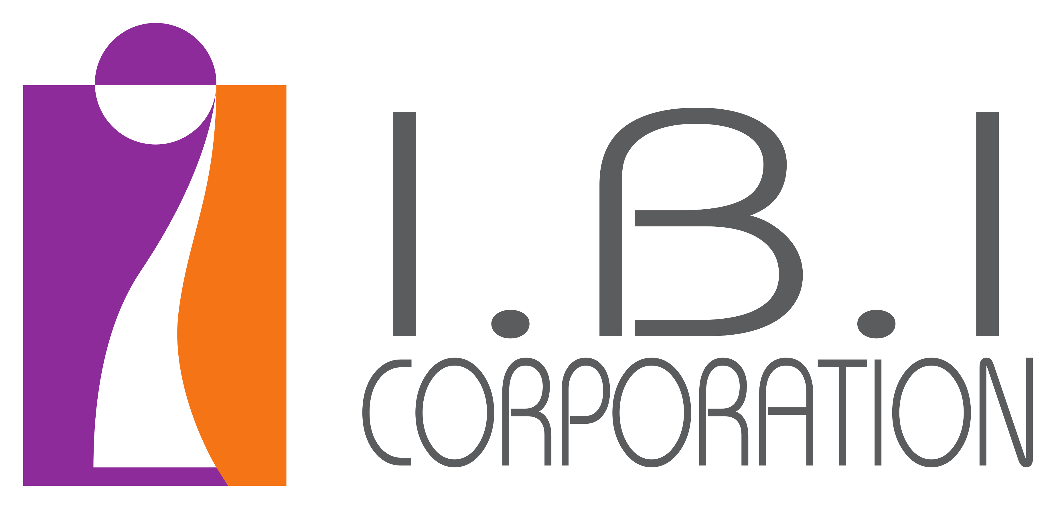 I.B.I CO., LTD
