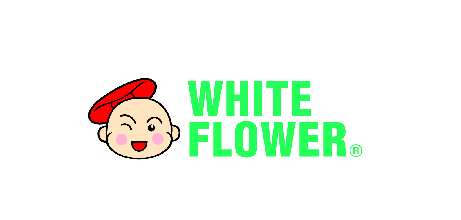 HOE HIN PAK FAH YEOW MANUFACTORY LIMITED
