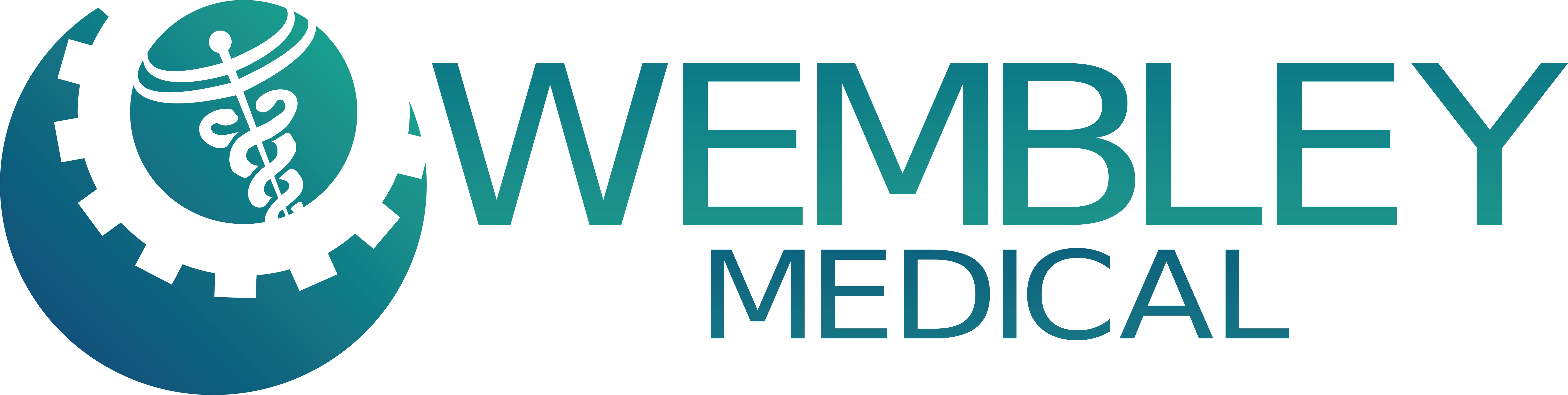 WEMBLEY MEDICAL FACTORY JOINT STOCK COMPANY