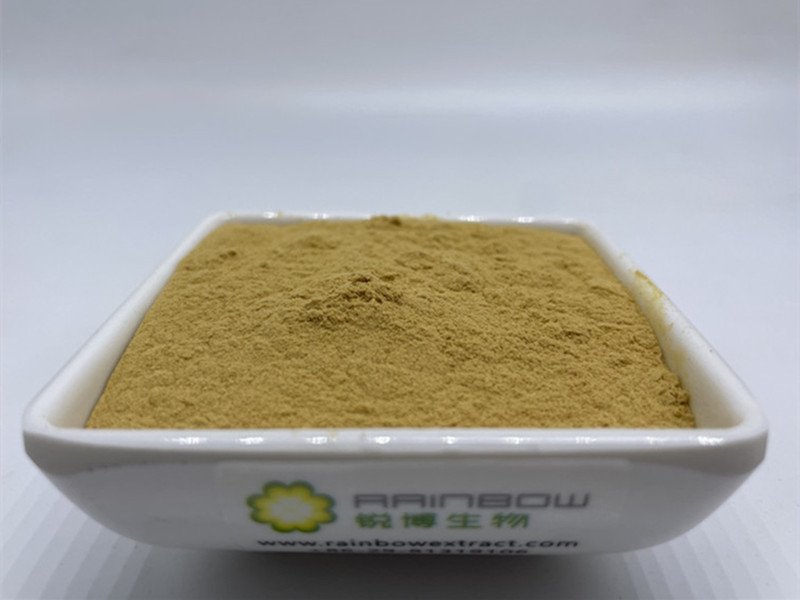 Cordyceps Extract