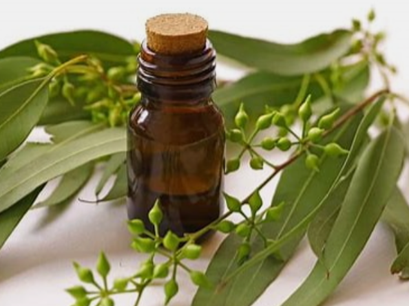 ANHUI TONGHUI PERFUME CO.,LTD