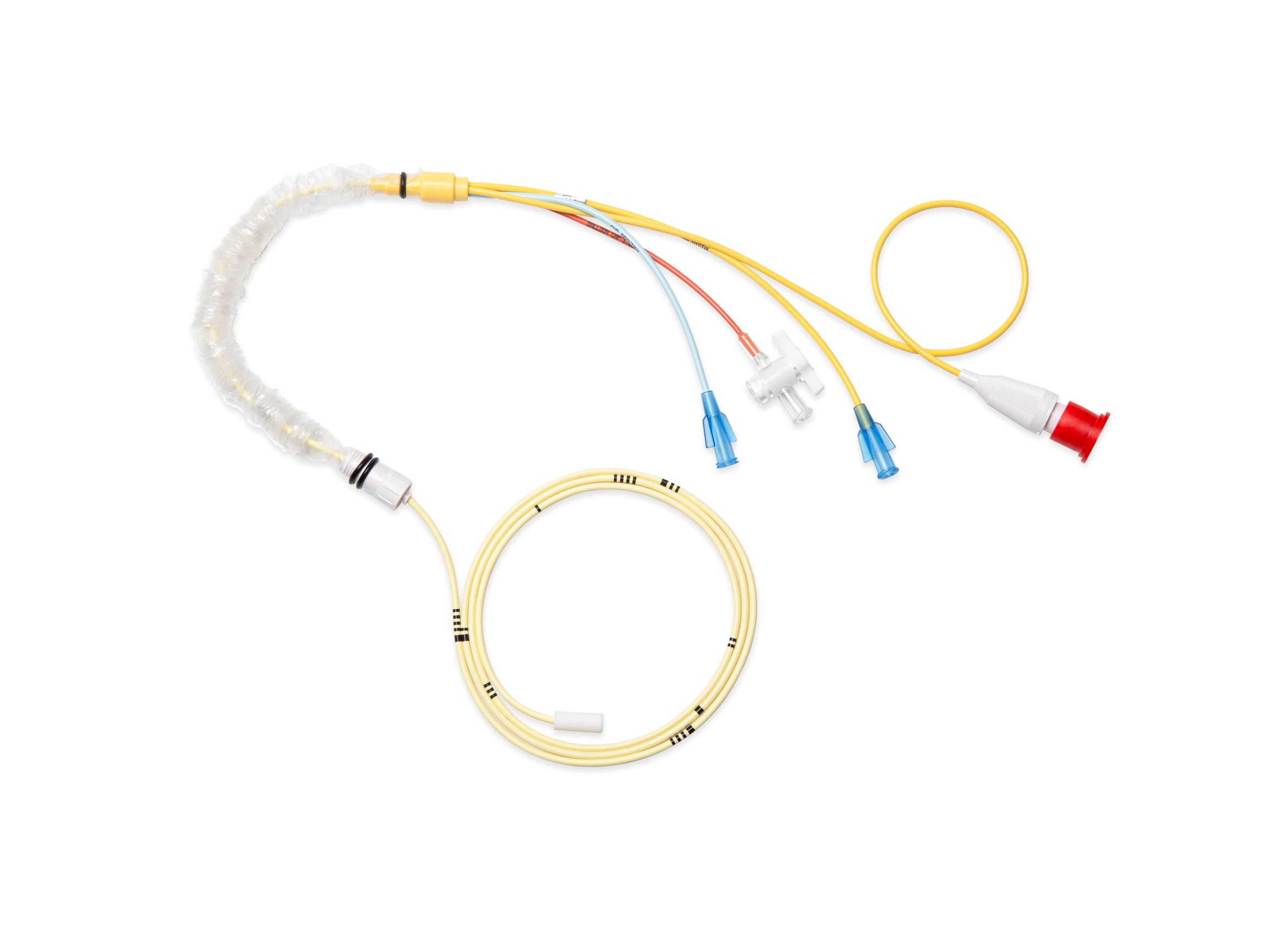 Thermodilution Catheter