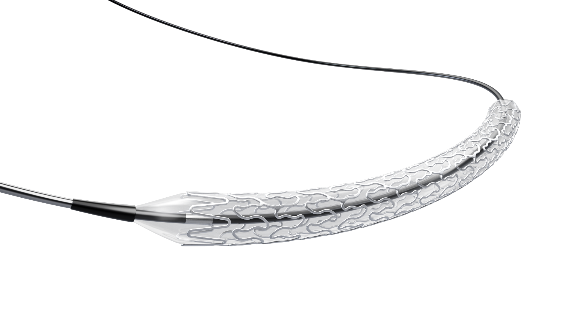 Stent