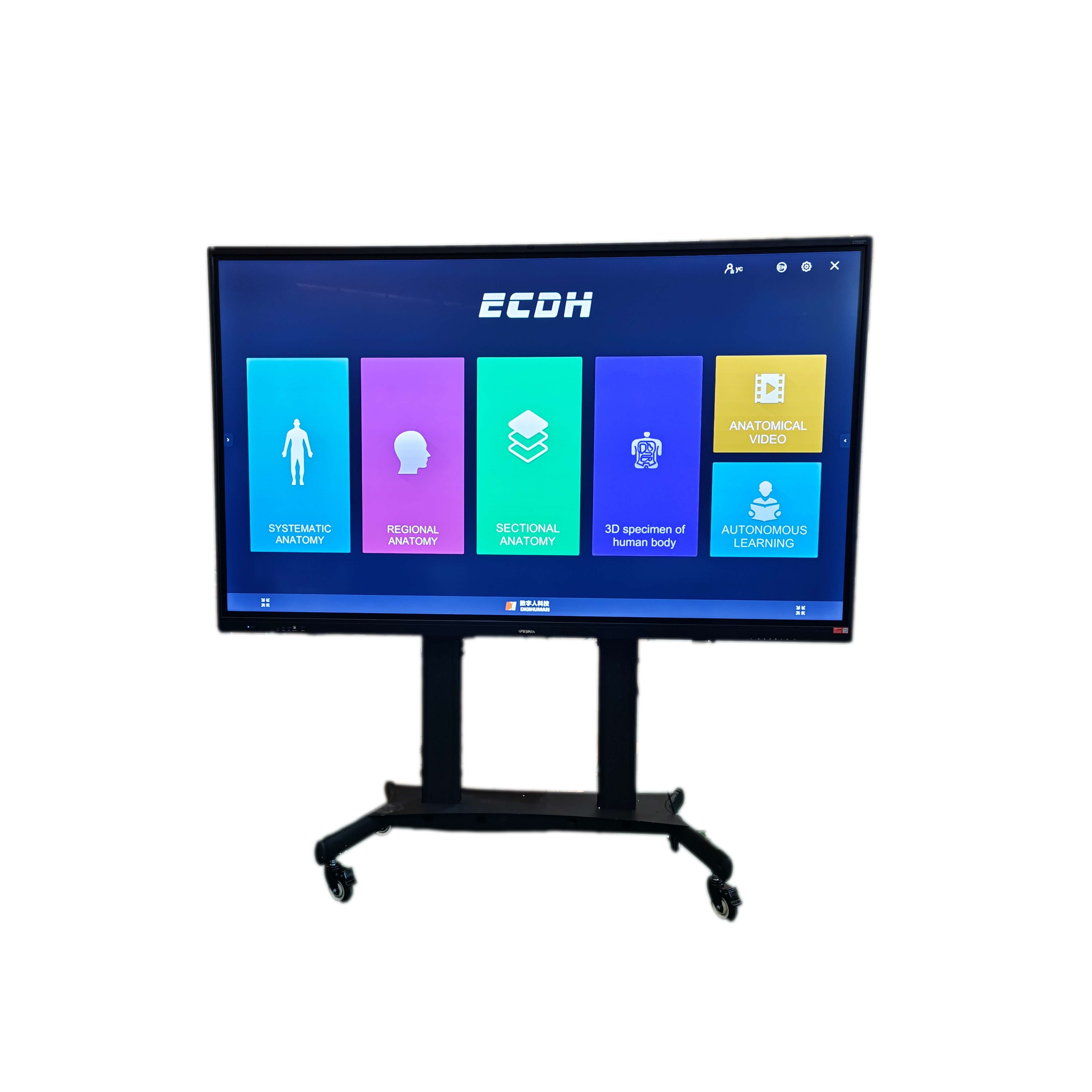 SHANDONG DIGIHUMAN TECHNOLOGY CO., INC