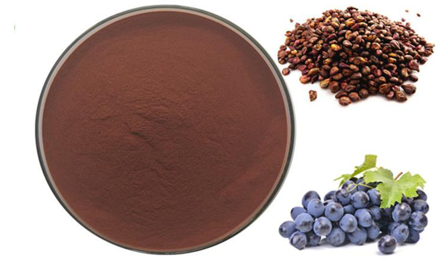 Grape seed extract