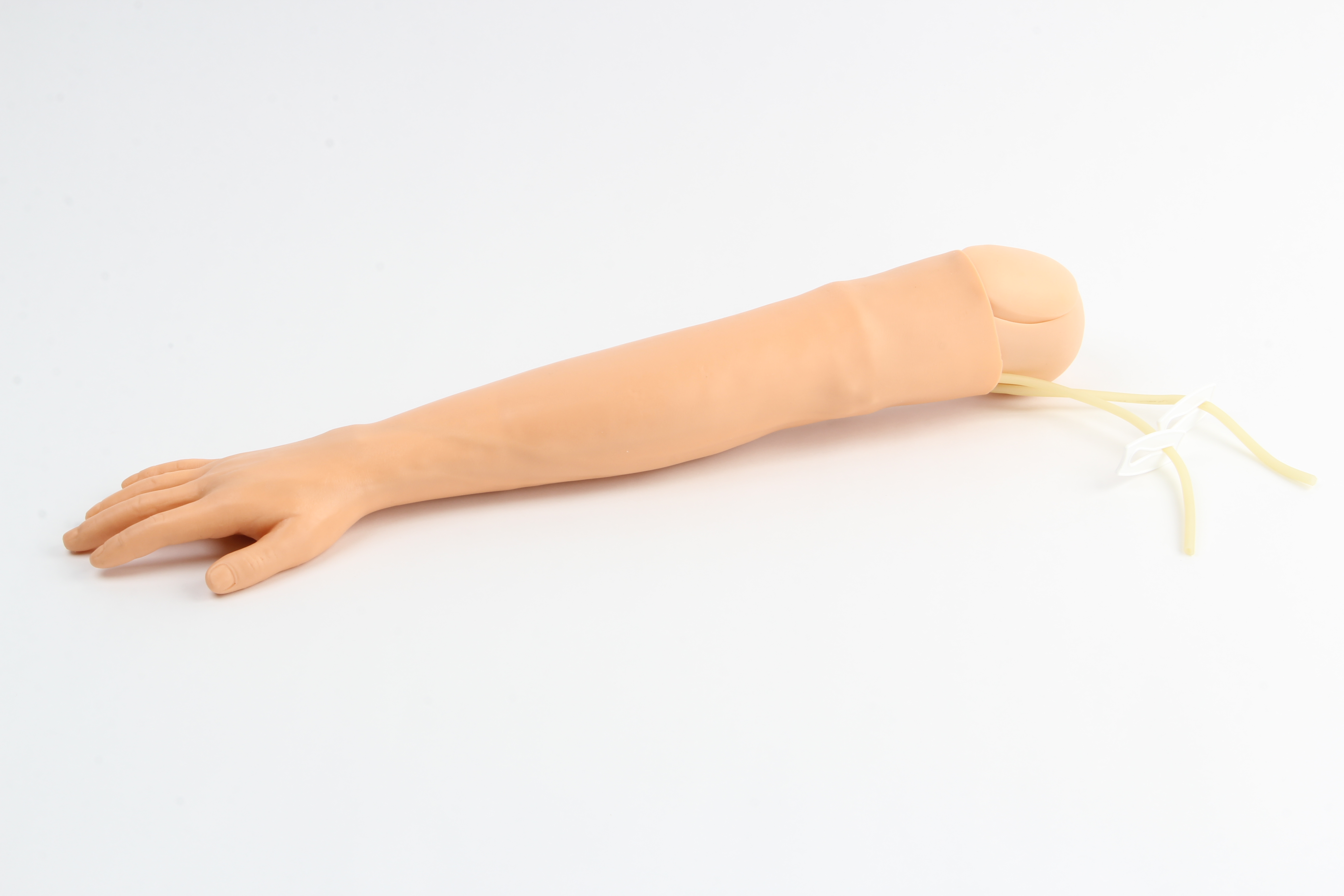 IV & Phlebotomy Training Arm Model