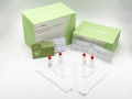 Novel Corona Virus (SARS-CoV-2) Ag Rapid Test Kit