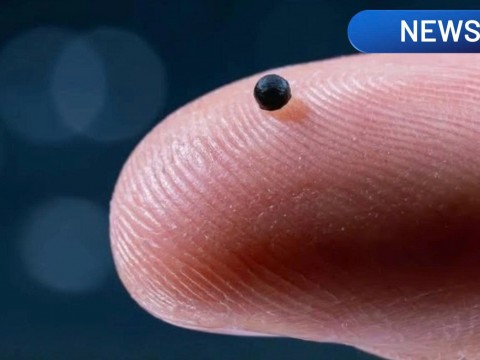 Tiny Robots Could Swim Through Your Blood to Prevent Strokes