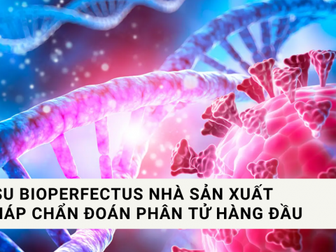 Jiangsu Bioperfectus nhà sản xuất giải pháp chẩn đoán phân tử hàng đầu