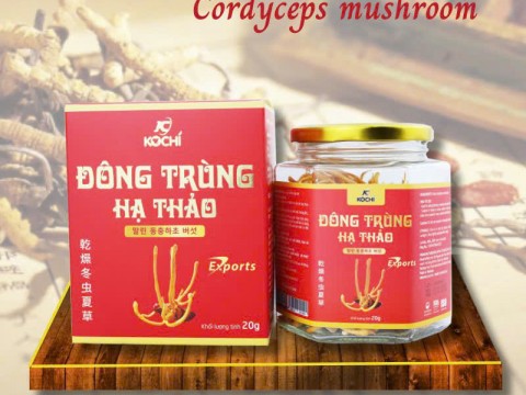 CORDYCEPS MUSHROOM