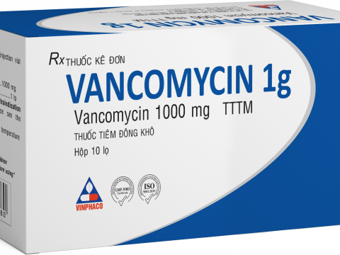 VANCOMYCIN 1G