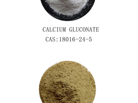 CALCIUM GLUCONATE