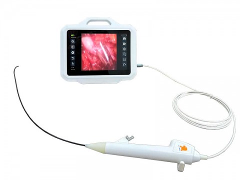 Disposable Flexible Ureteroscope