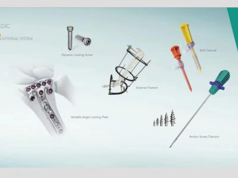 ORTHOPEDIC IMPLANTS