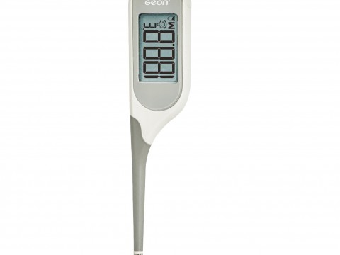  DIGITAL THERMOMETER