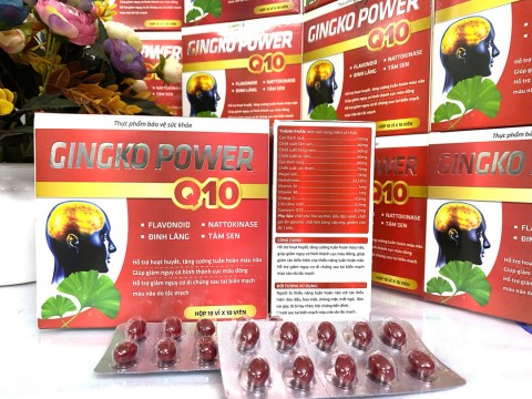 GINGKO POWER Q10