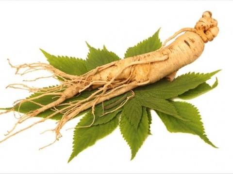 Ginseng extract